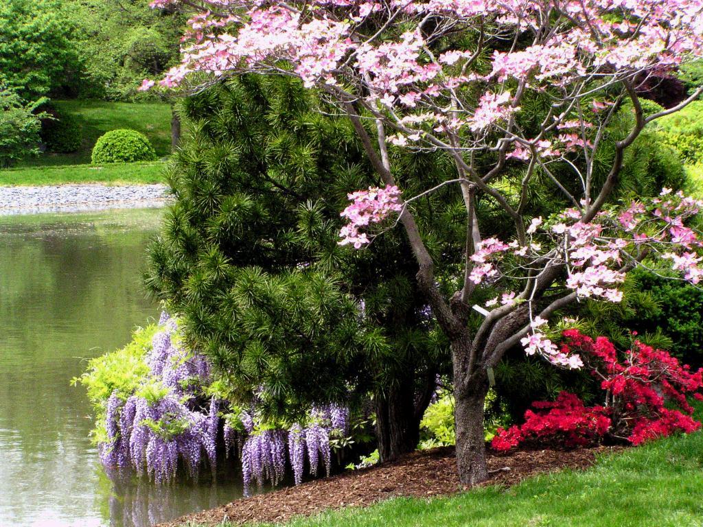 Ботанический сад Миссури в США