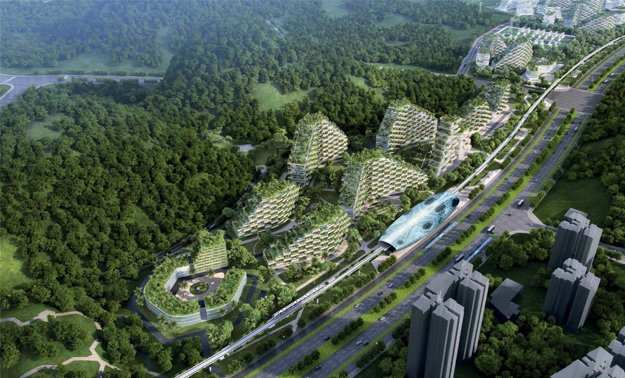 Город в лесу или лес в городе? Новый проект Китая!