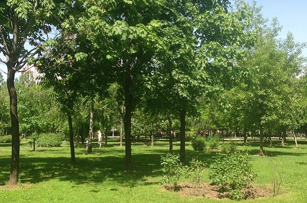 Братиславский парк 