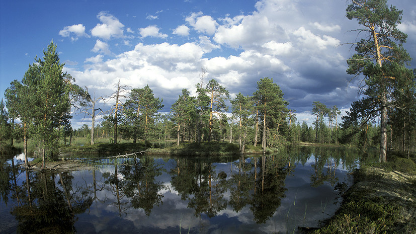 Составлен экологический рейтинг регионов России по итогам весны 2018 года