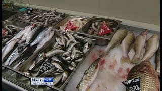 Сочинские рыбаки предложили организовать на курорте рыбный рынок